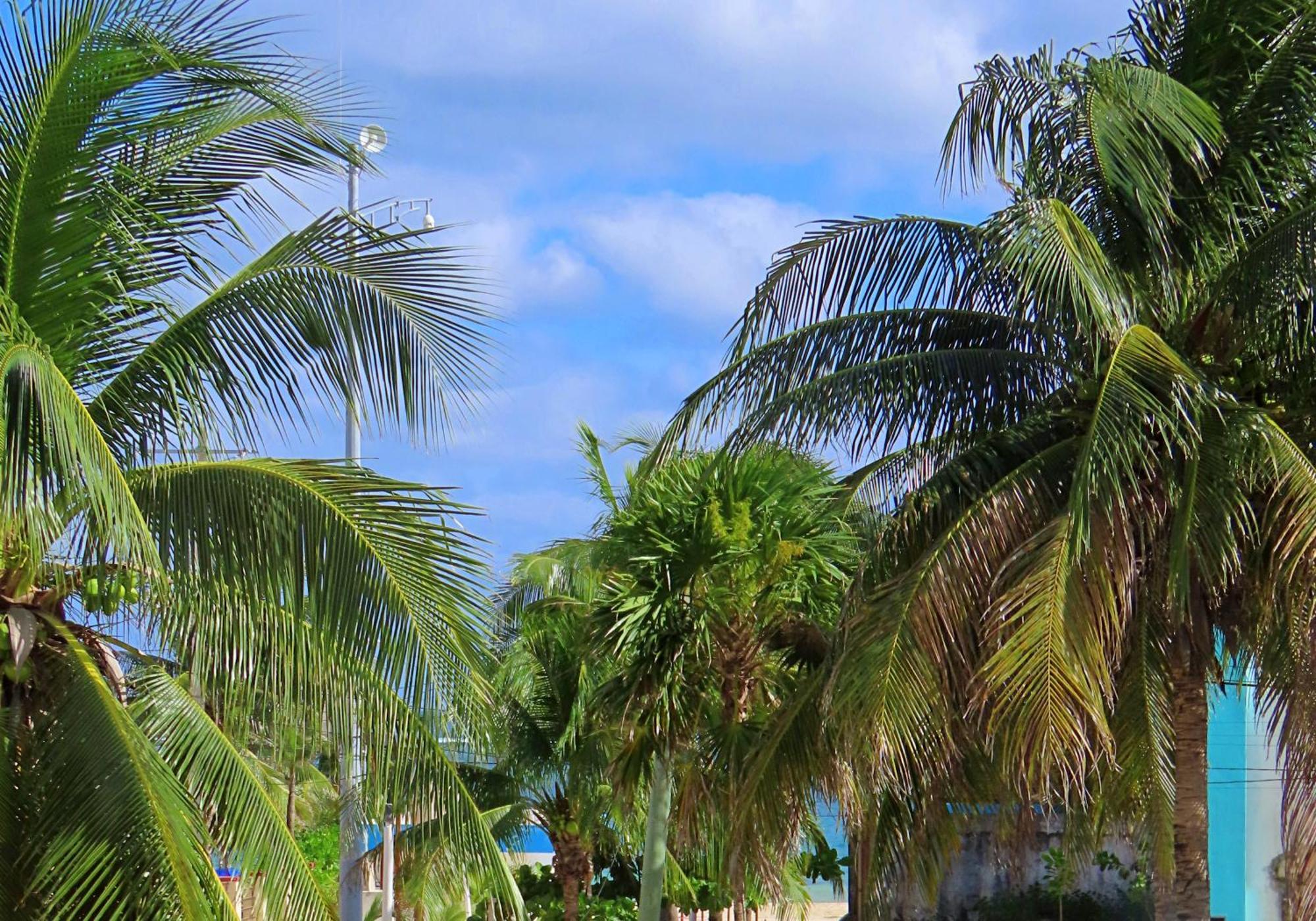 Studio Norte, Casa Brisamar Puerto Morelos Bagian luar foto