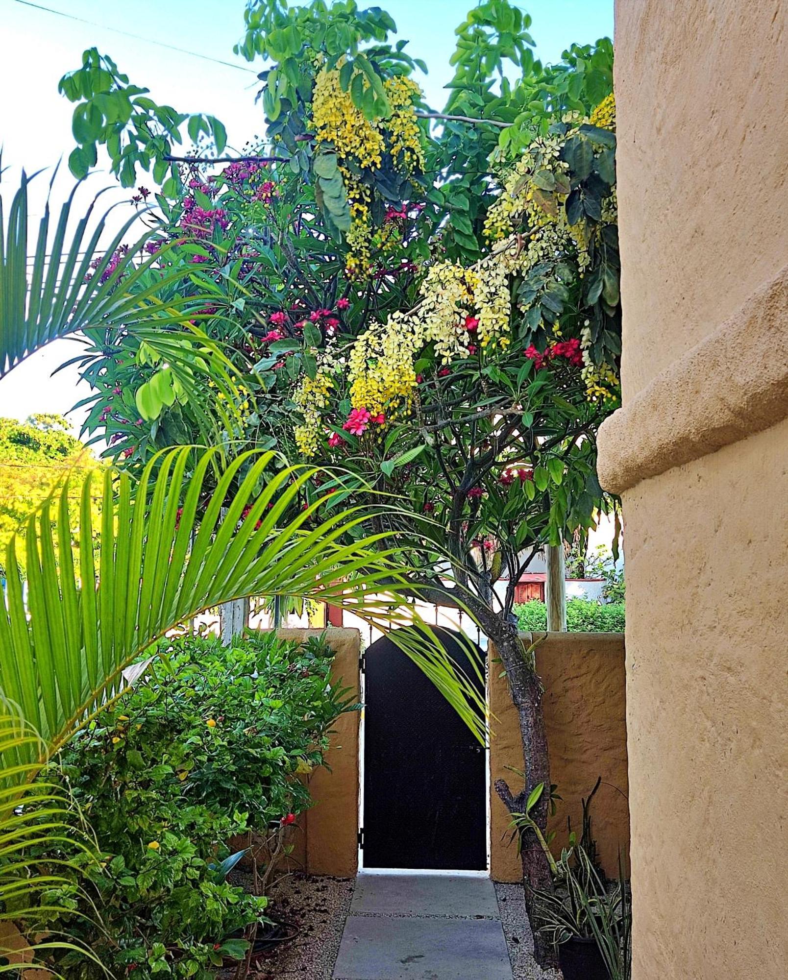Studio Norte, Casa Brisamar Puerto Morelos Bagian luar foto